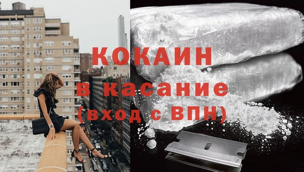 гидра Наволоки