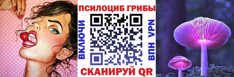 сколько стоит  Мосальск  Псилоцибиновые грибы Psilocybine cubensis 